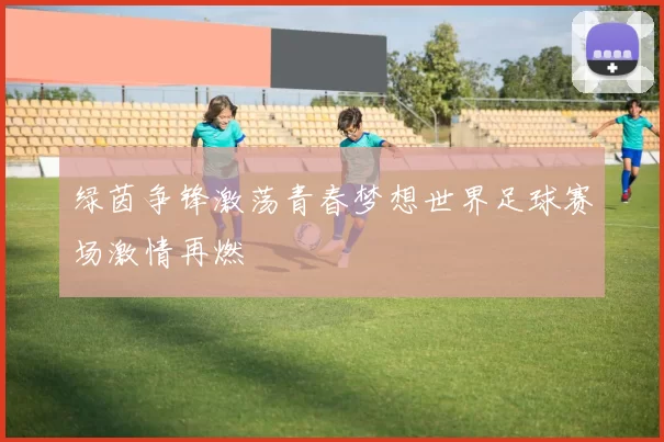 绿茵争锋激荡青春梦想世界足球赛场激情再燃