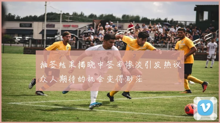 抽签结果揭晓中签率惨淡引发热议众人期待的机会变得渺茫