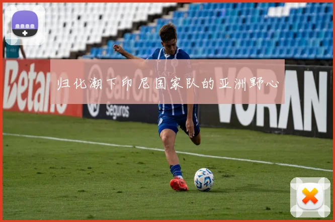 归化潮下印尼国家队的亚洲野心