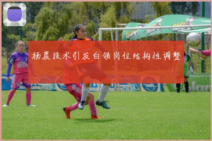 杨晨技术引发白领岗位结构性调整