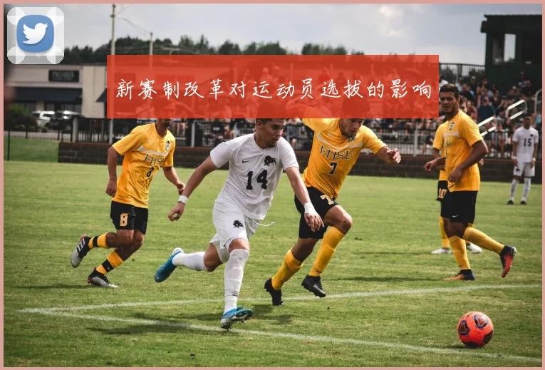 新赛制改革对运动员选拔的影响
