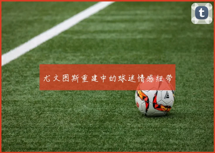 尤文图斯重建中的球迷情感纽带