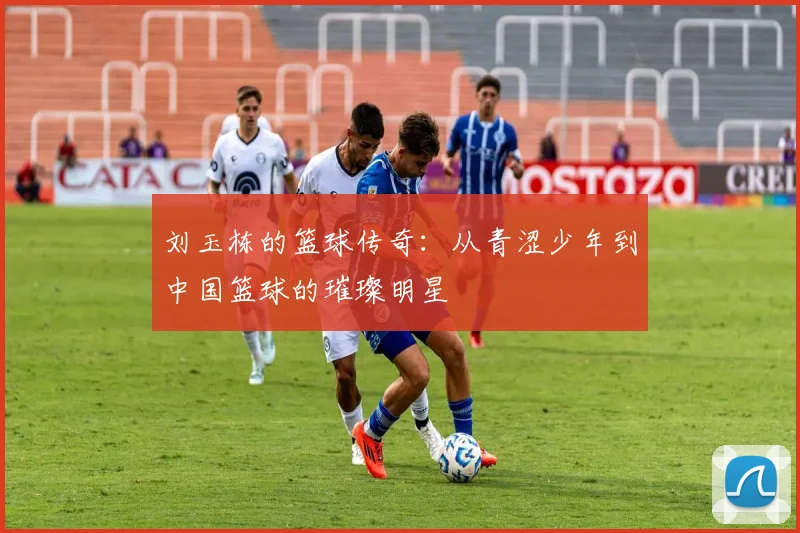 刘玉栋的篮球传奇：从青涩少年到中国篮球的璀璨明星